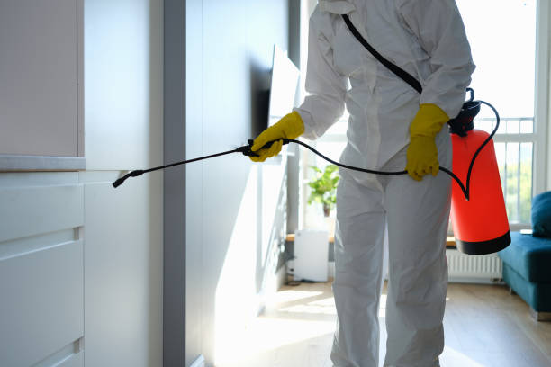Mold Removal for HVAC Installations in Rapid Valley, SD