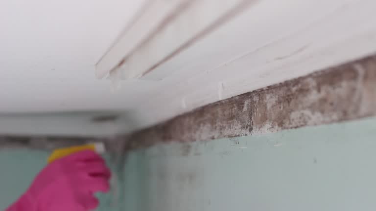 Best HVAC Mold Inspection and Cleaning  in Rapid Valley, SD